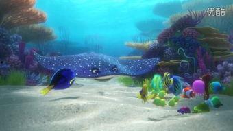 海底总动员高清国语,海洋奇遇，亲情守护之旅