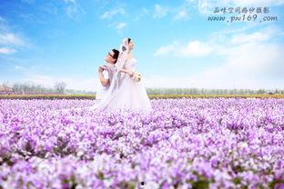 婚纱照美姿大全图片