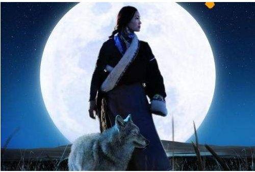 重返狼群2电影在线观看,再战荒野，传承狼性精神