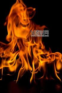 火的图片