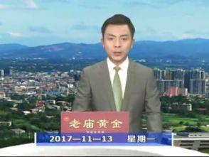 蕲春新闻视频,聚焦地方发展，展现蕲春风采