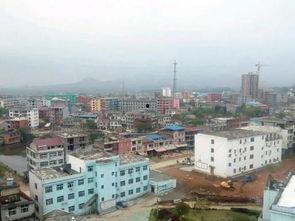 蕲春新闻视频,聚焦地方发展，展现蕲春风采